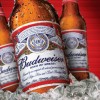 Budweiser