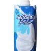 Medium Hollandia